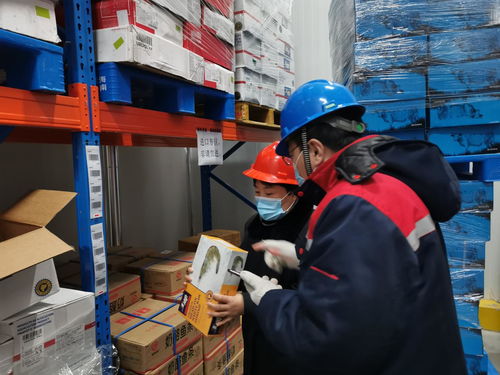 筑牢冷鏈防線 守護食品安全——孫村市場監管所開展物流企業進口冷鏈食品疫情防控專項檢查